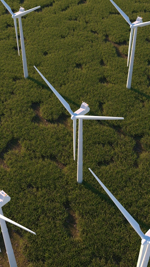 Paisaje natural empleado para representar proyectos de descarbonización