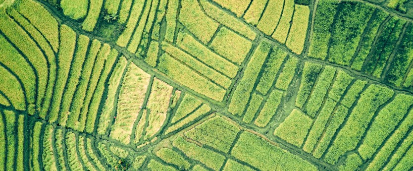 Claves de la COP26 cambio climático