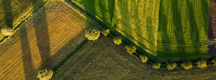 PERTE Agroalimentario