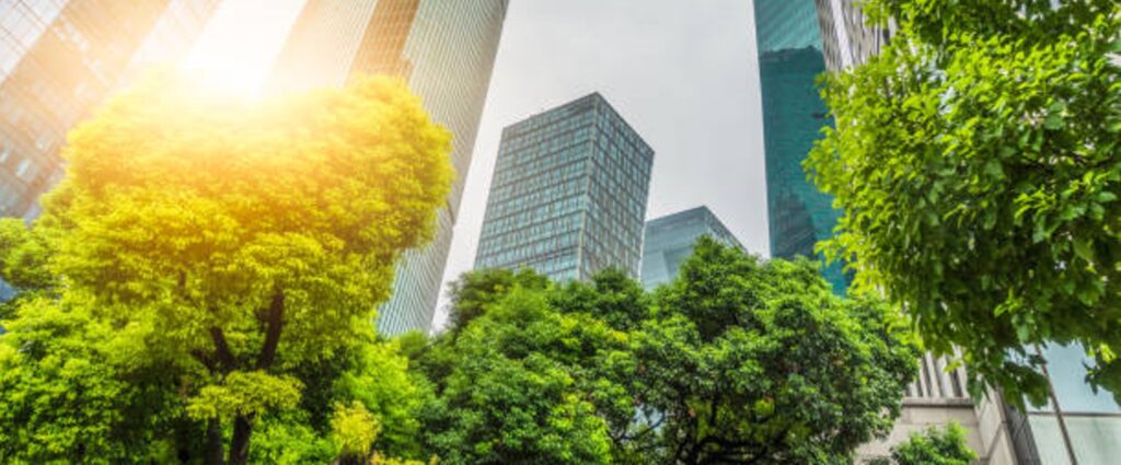 Las finanzas sostenibles son la herramienta para alinear la economía con la responsabilidad ambiental y social
